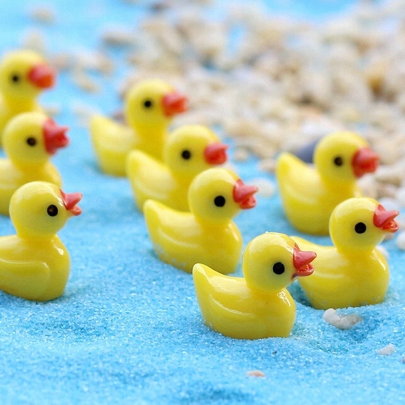 Vịt vàng trang trí tiểu cảnh