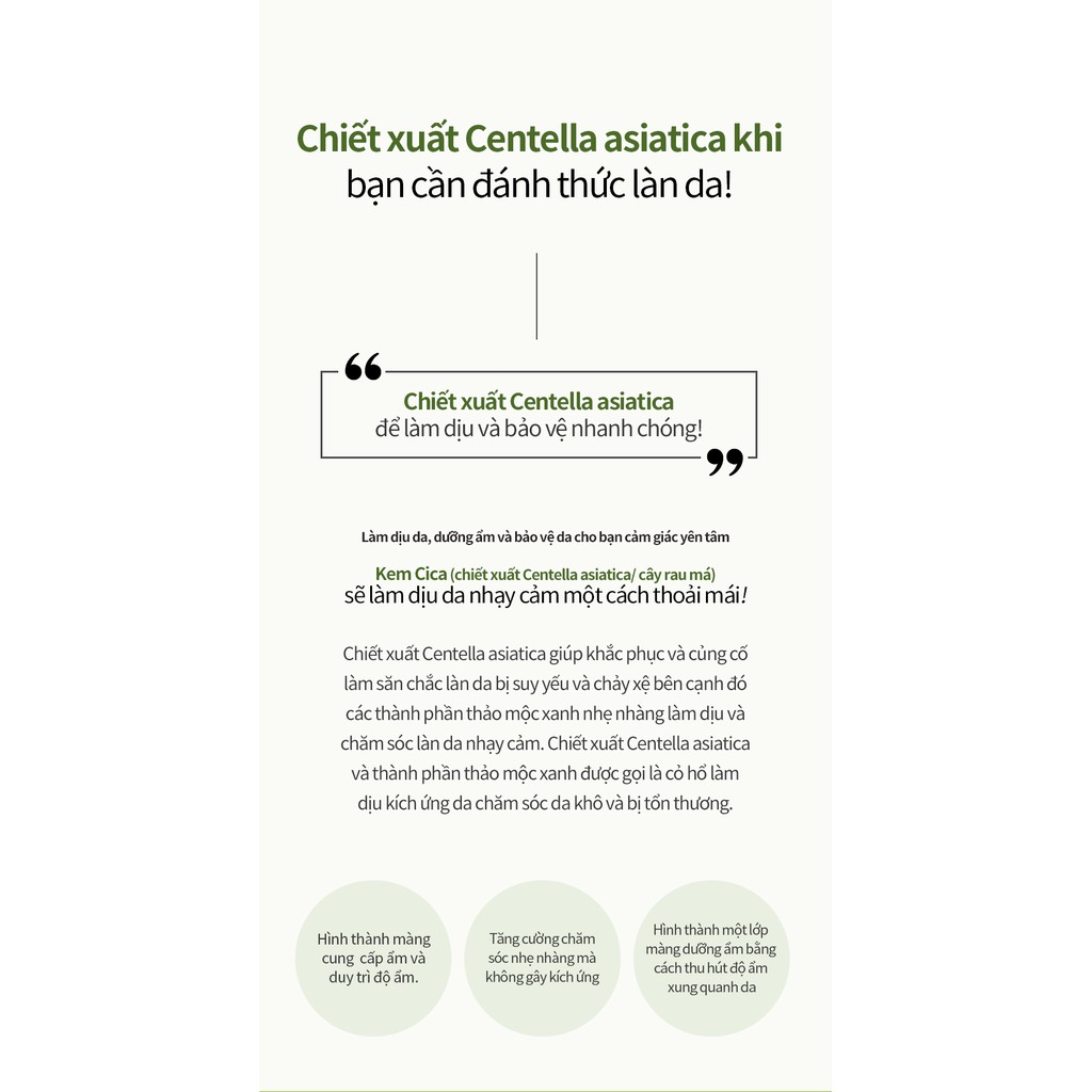 Kem Dưỡng Da Chuyên Sâu Bergamo Cica Essential Intensive 50g