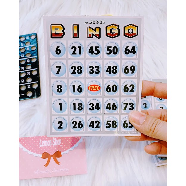 Trò Chơi Bingo Lotto Neo Mini - 1sp