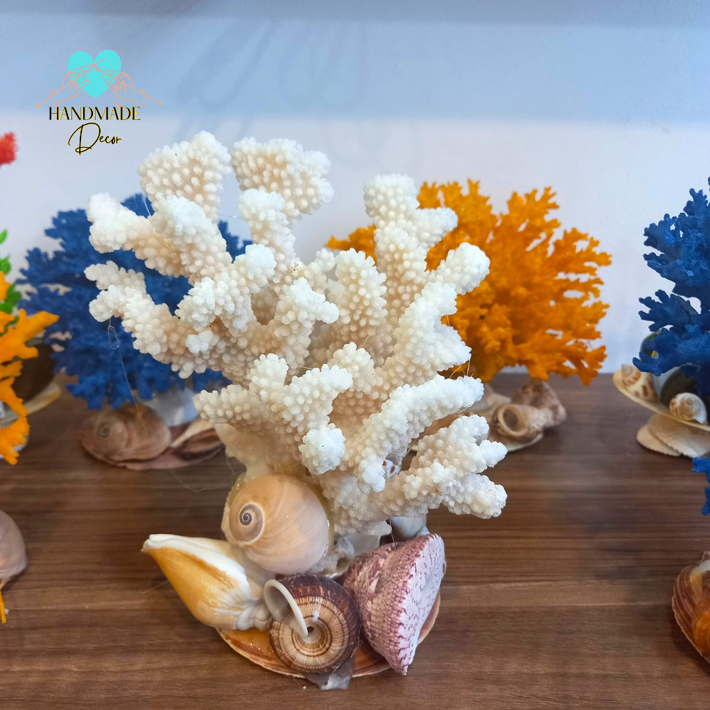 San hô chụp ảnh trang trí bàn trà, tủ trà, bể cá