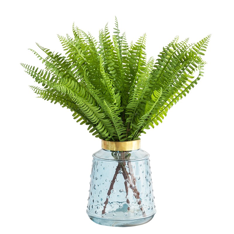 Cây dương xỉ trang trí,cụm điểm trang trí