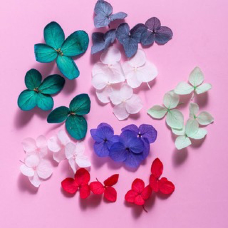 set hoa khô ẩn nail - hoa khô nhiều màu