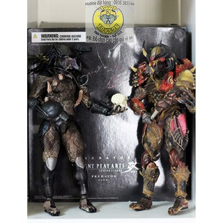 Mô hình Predator Bracket