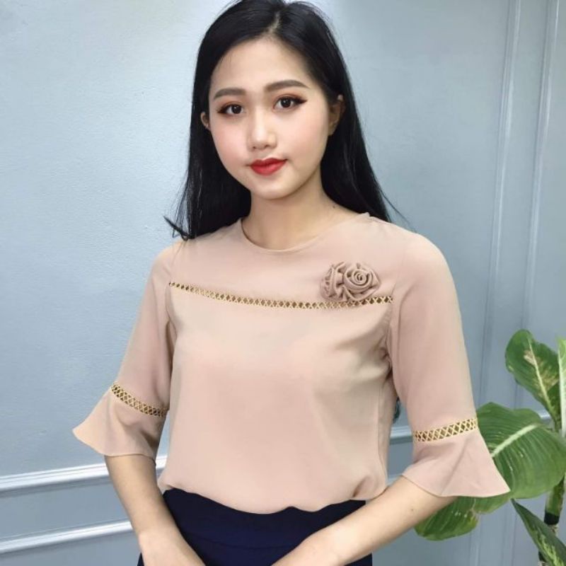 pass áo công sở