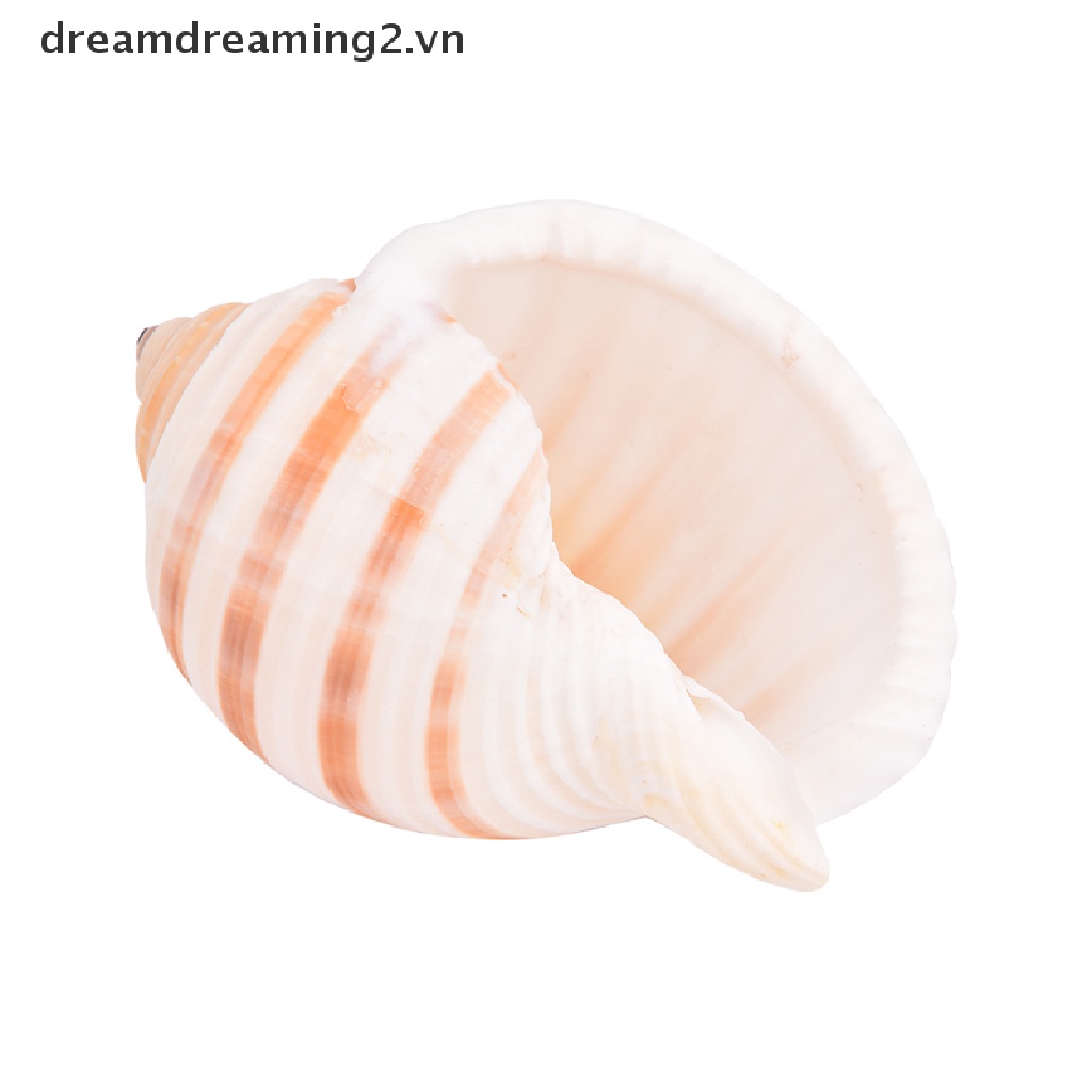 1 Vỏ Vít Phong Cảnh Đẹp