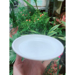 Đĩa Lót Chậu đường kính 17-21-24cm