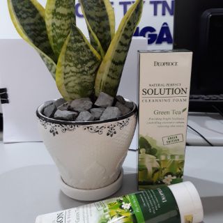 Sữa rữa mặt Trà Xanh