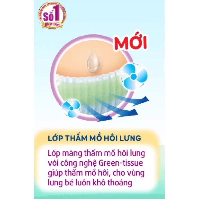 TÃ BỈM QUẦN BOBBY CHỐNG HĂM M62/L54/XL48/XXL44 HÀNG CỘNG MIẾNG