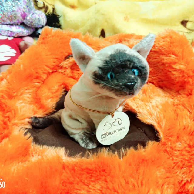 Gấu bông pu bé hằng luân 23