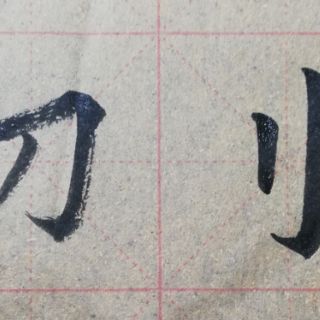 Mực tàu thỏi các kích cỡ