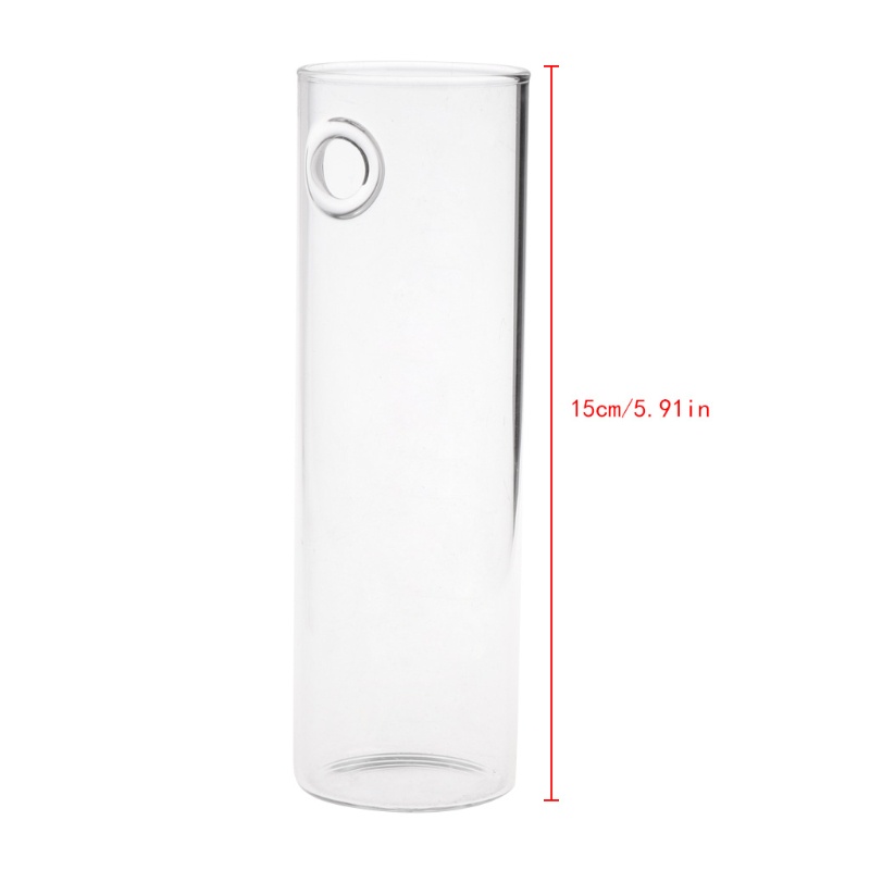 Chậu Kính Trồng Cây Treo Tường Trang Trí Nội Thất