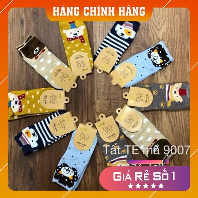 Set 10 đôi tất cổ cao hình con vật đáng yêu có size cho bé 1-13 tuổi mã 9007 - Video+ảnh thật