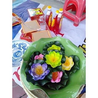 Hoa sen thả bát,hoa xốp