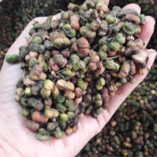 Nụ hoa tam thất 500g
