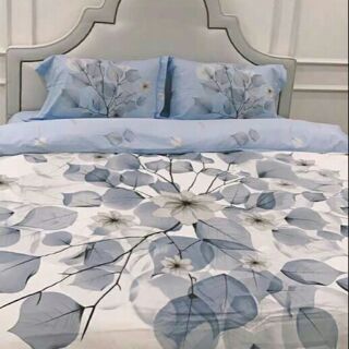 Bộ chăn ga gối cotton