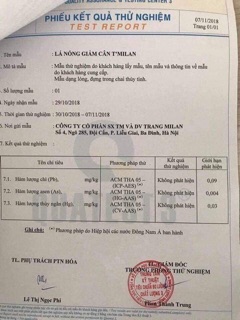 LÁ NÓNG GIẢM CÂN