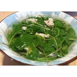 Hạt giống rau má lá nhỏ
