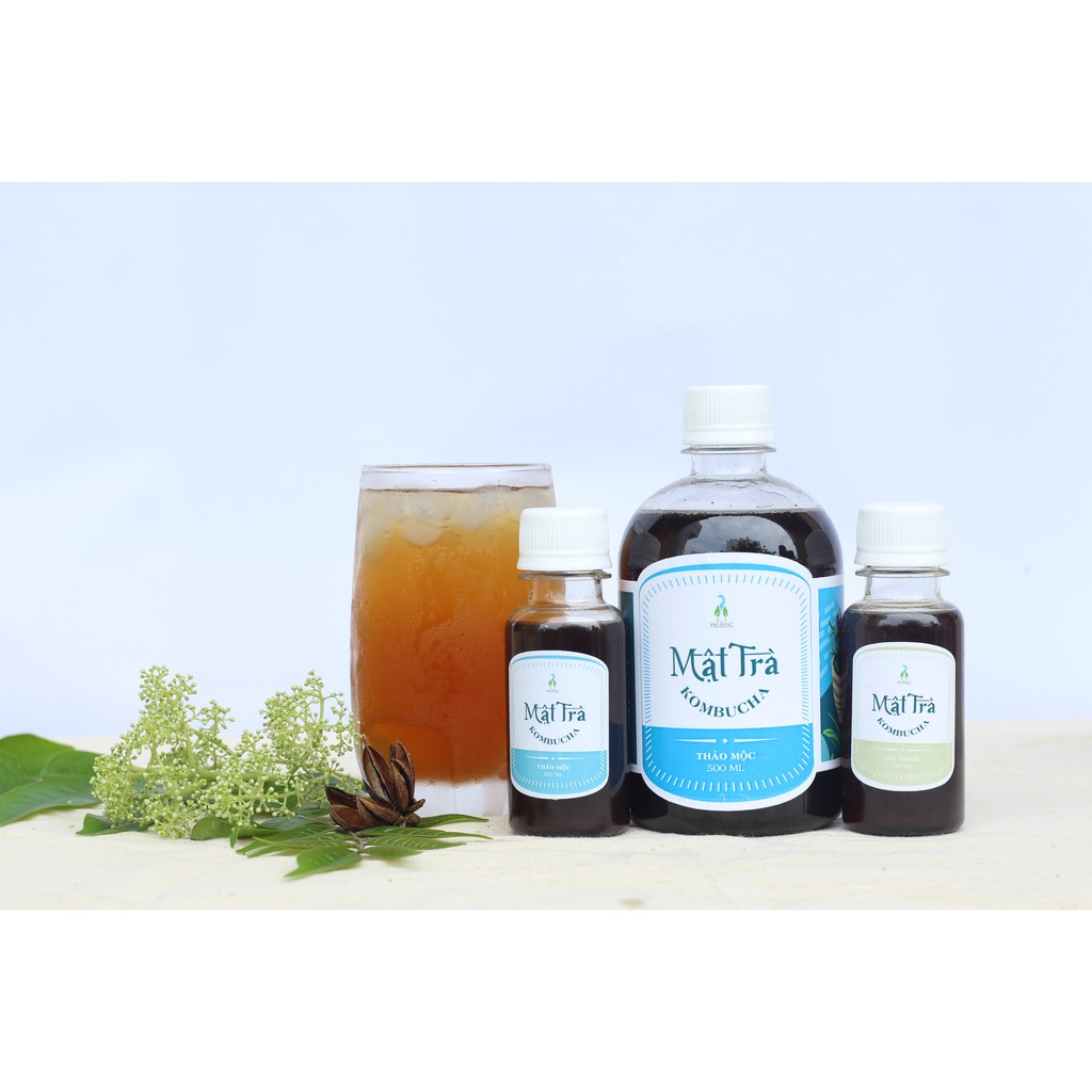 Mật trà Kombucha Thảo mộc detox và bổ sung lợi khuẩn | BigBuy360 - bigbuy360.vn