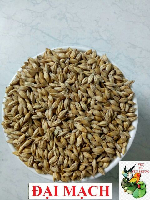 1kg hạt trộn gồm 9 loại hạt dành cho LOVEBIRD, LINNIE, PARROTLET
