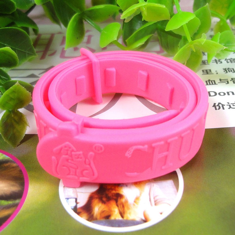 Vòng đeo cổ đuổi rận bảo vệ cho thú cưng tiện lợi