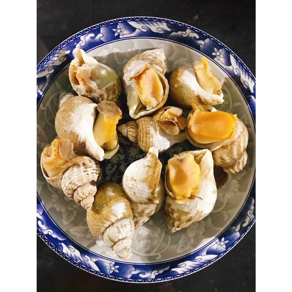 Ốc Bulot Pháp.Khay 500gram. Tặng kèm muối sữa chấm hải sản. Ốc Bulot nhập khẩu. Ship liền HCM.