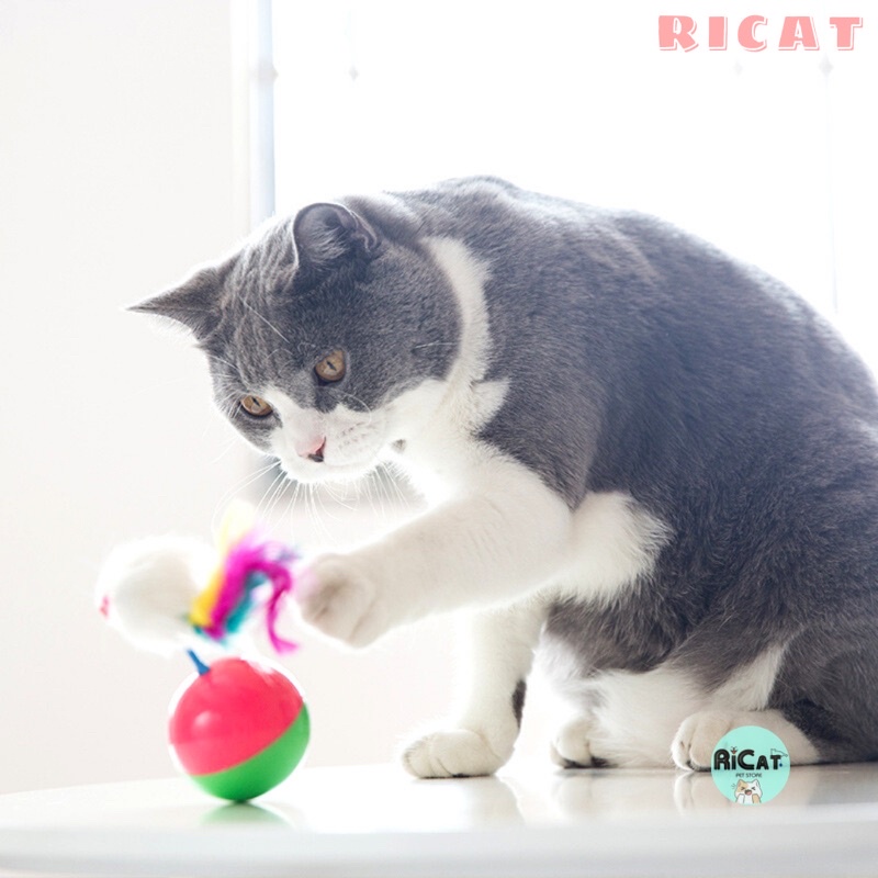 Đồ chơi cho Mèo - Bóng Lật Đật Chuột