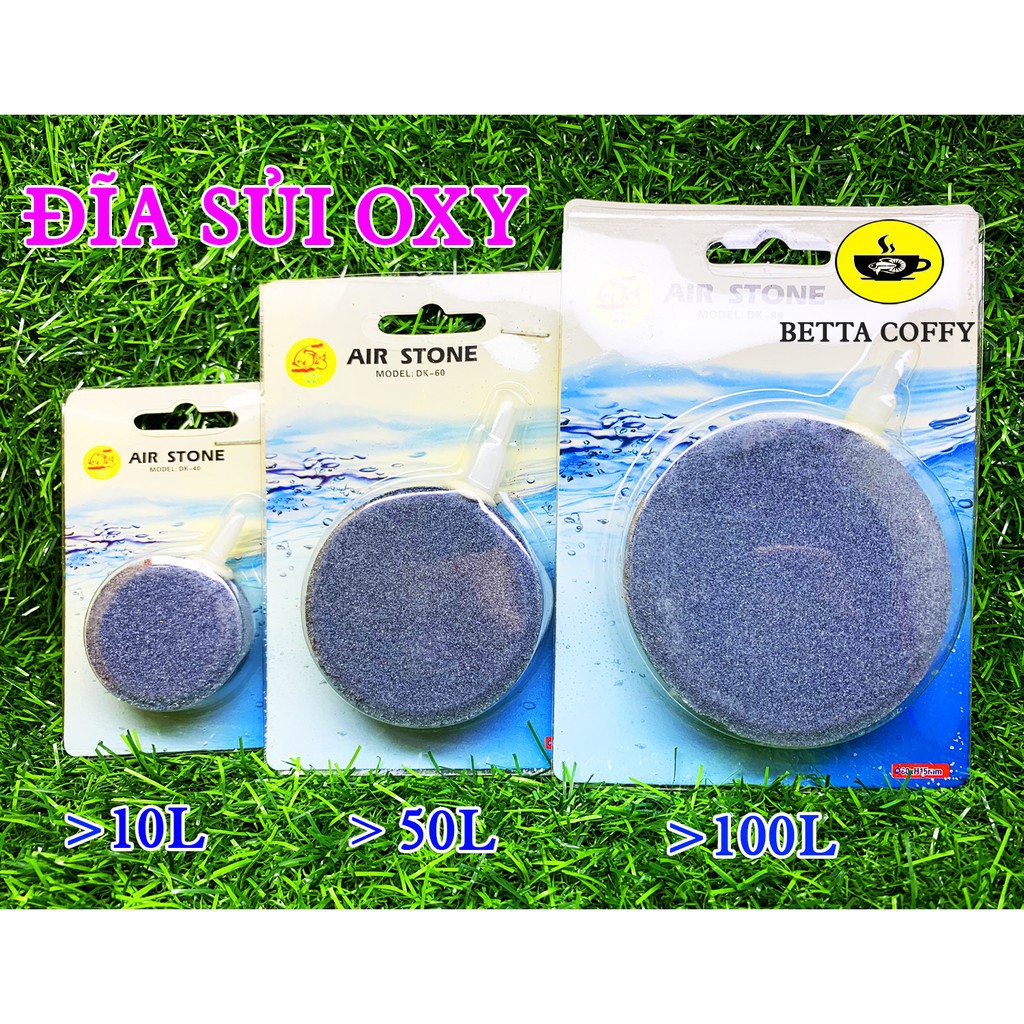 🎇 Sủi Oxy đĩa siêu mịn đường kính 40-60-80 mm cho hồ cá cảnh AIR STONE