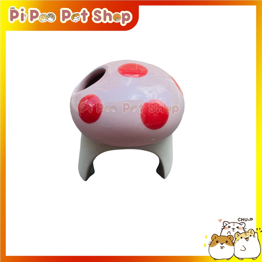 Nhà ngủ sứ cho Hamster