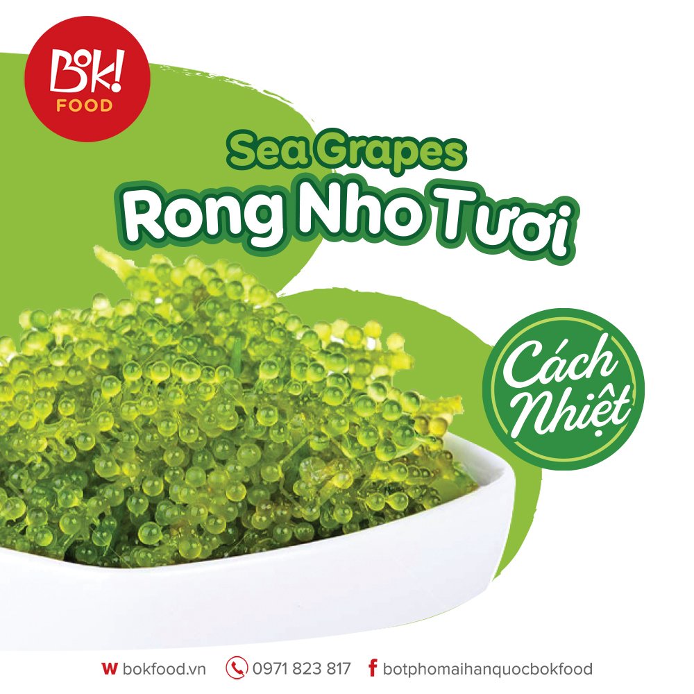 Rong nho tươi ( tách nước,cách nhiệt ) Bok Food 50g