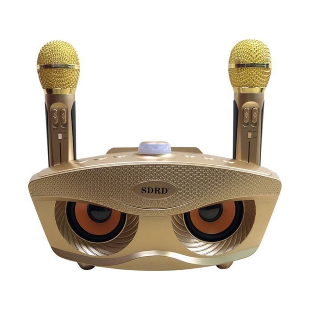 Loa karaoke Sd-306 Kèm 2 mic