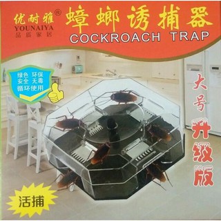 Hộp bắt gián thông minh
