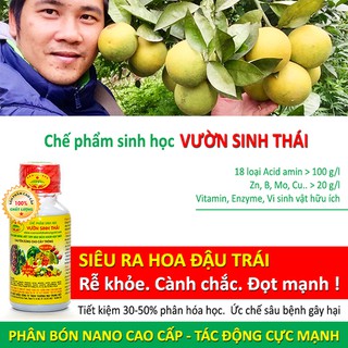 Siêu ra hoa đậu trái, chống rụng quả sinh lý, Mã quả đẹp. Chế phẩm sinh học