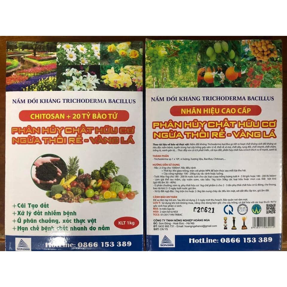 TRICHODERMA BACILLUS phân hủy chất hữu cơ, cải tạo đất trồng