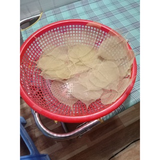 Lá Bồ Đề May mắn 🍀🍀