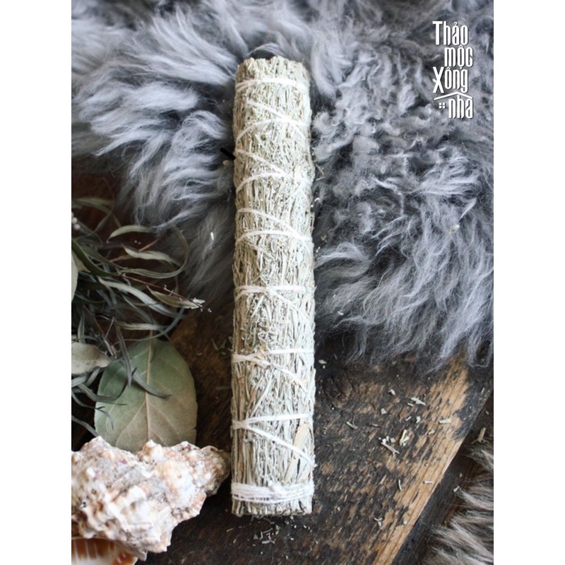 XÔ THỊNH VƯỢNG Thu hút tiền bạc / Sự giàu có / Sự dồi dào (Pine & Mountain Sage) - THẢO MỘC XÔNG NHÀ