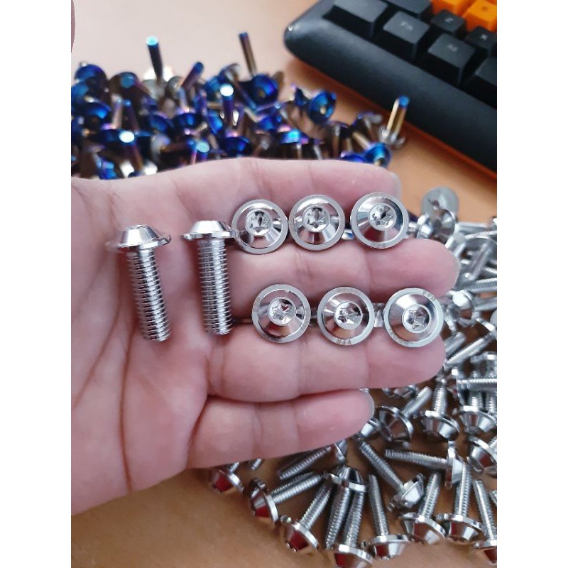 Ốc áo ex 135 bộ 30 con