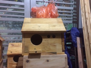 Tổ đẻ Love bird, Yến phụng, Cook