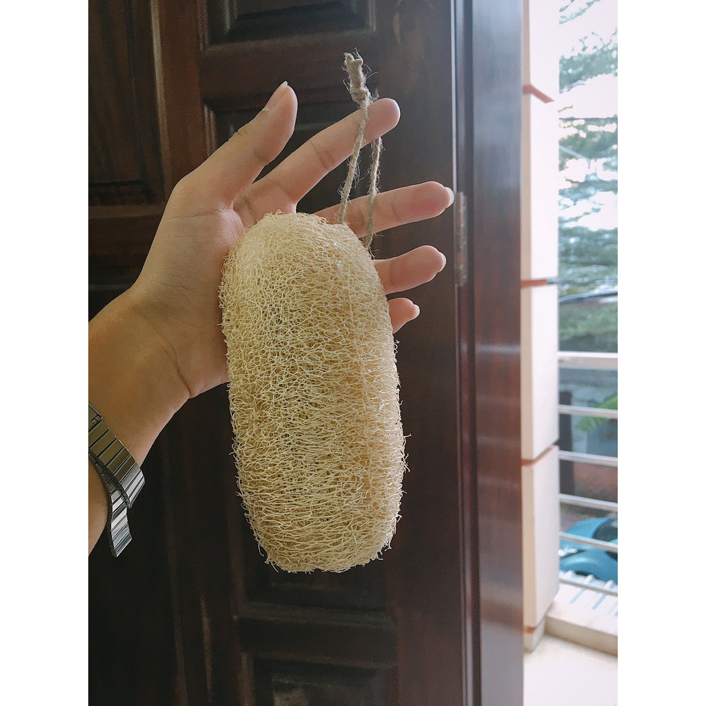 Combo Xơ mướp size 15-20cm