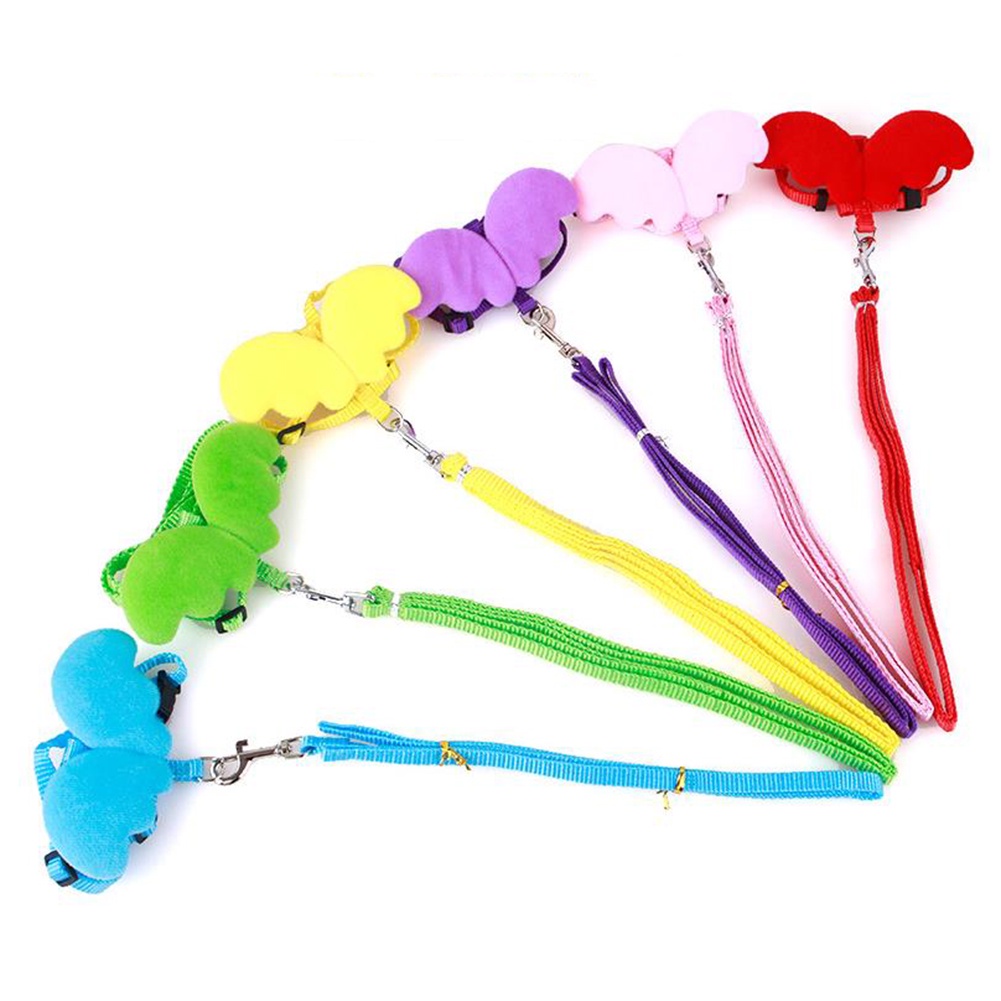 Dây dắt thú cưng đi dạo kiểu đôi cánh dễ thương