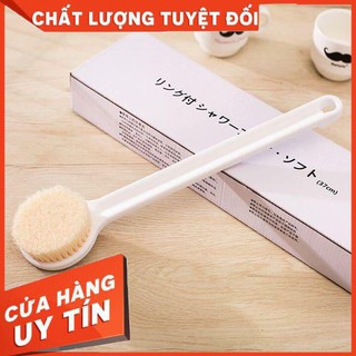 CÂY CỌ LƯNG MUJI NHẬT BẢN