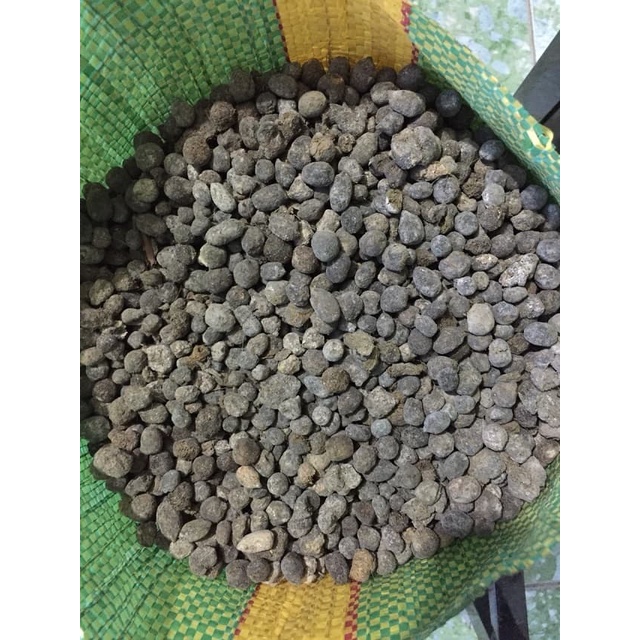 Phân dê đã qua xử lý sạch, bón lan, cây cảnh, cây hoa, cây trồng