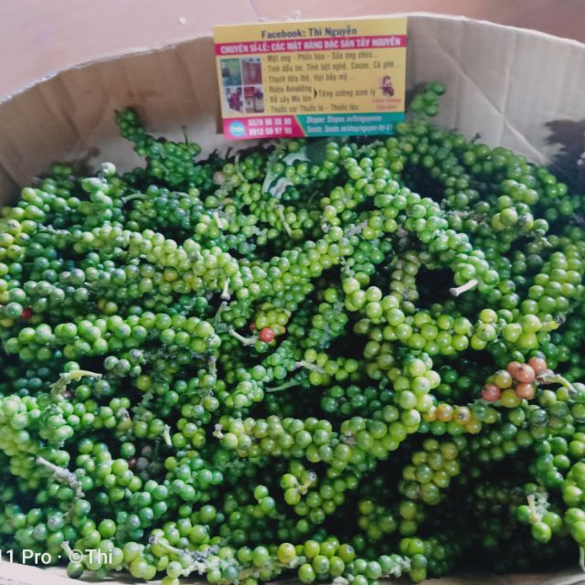 Sỉ 5kg tiêu xanh /tiêu khô nhà trồng Đắk Lắk chuẩn sạch