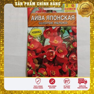 HẠT GIỐNG CÂY MAI ĐỎ NHẬT -HG NGA