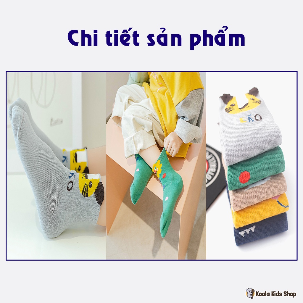 Set 5 đôi tất chân bé trai bé gái Tất trẻ em từ 1-8 tuổi