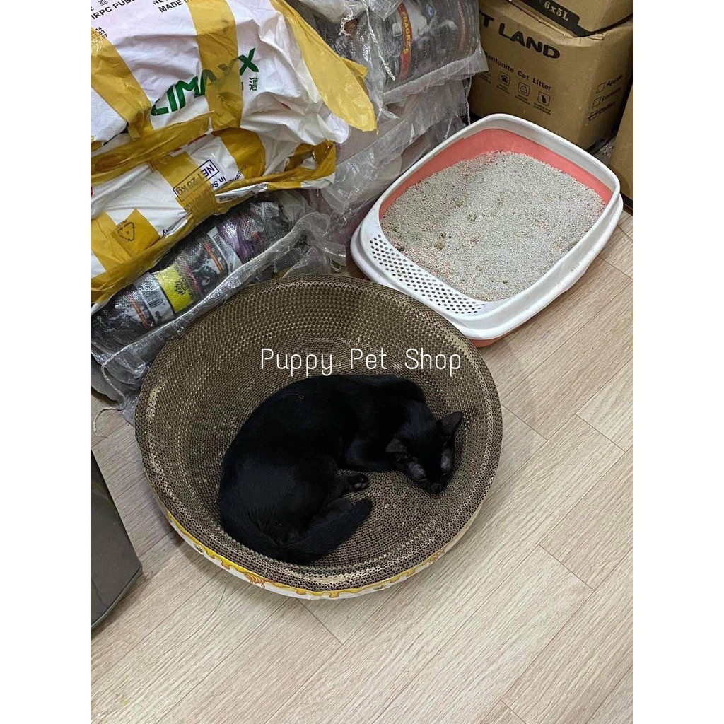 Cào móng giấy ổ tròn