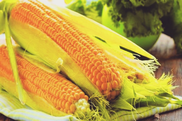 Hạt Giống Bắp Mỹ Ngọt Lai F1- siêu nẫy mầm