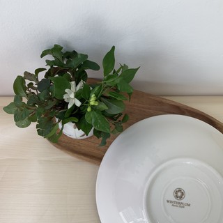 Tô gốm ăn mì, ăn phở to
