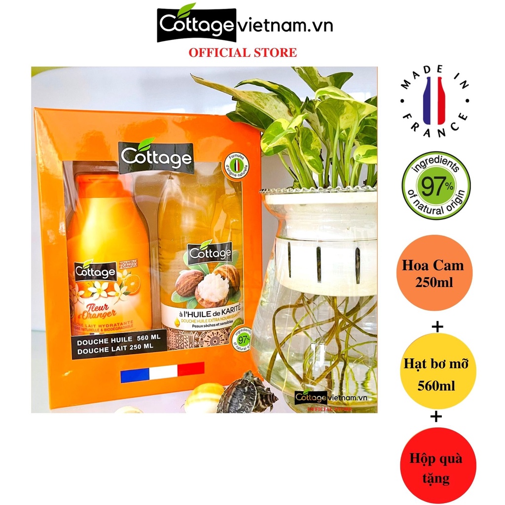 Combo Hộp Quà Tặng 2 Món sữa tắm Dưỡng ẩm Cottage 250ml Hương Hoa Cam và 560ml Hạt Bơ Mỡ
