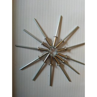 Đinh rút Rive inox cao cấp ( túi 100 gr)