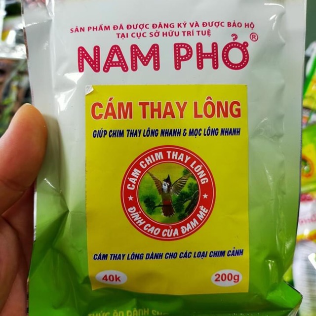 Cám thay lông Nam Phở